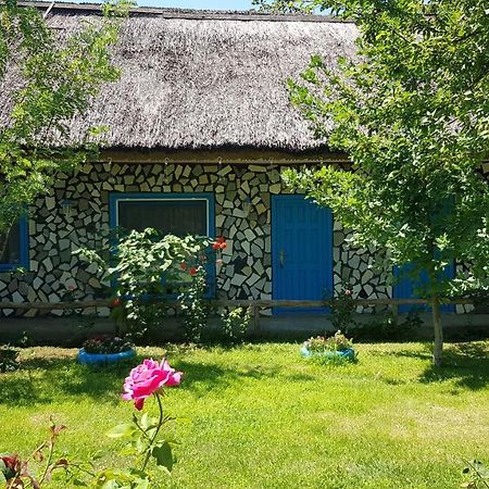 Pensiunea Iubire De Delta " La Traian " Murighiol Exterior foto