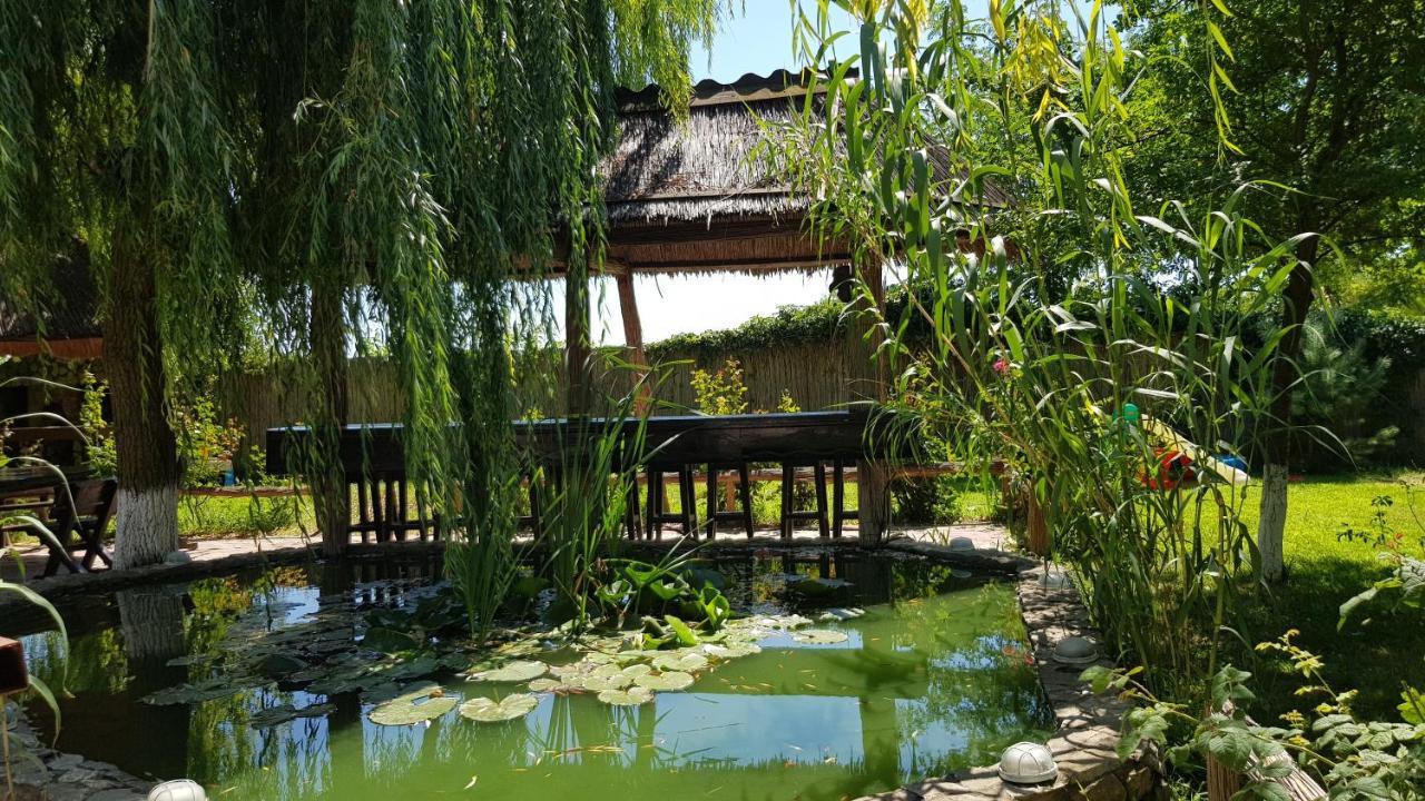 Pensiunea Iubire De Delta " La Traian " Murighiol Exterior foto